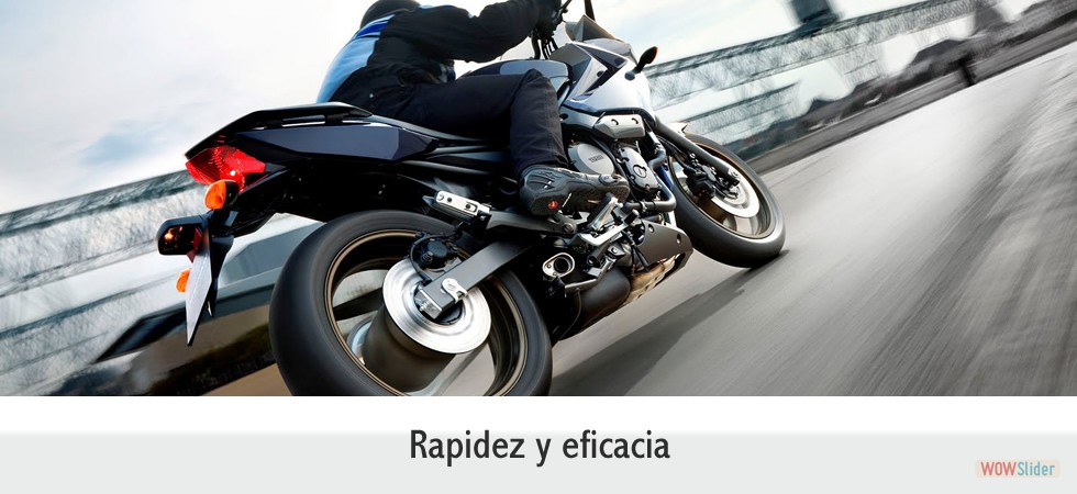 imgcabecera5